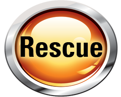Rescue vehicle decal and lettering gallery by Clearview sign of Onalaska